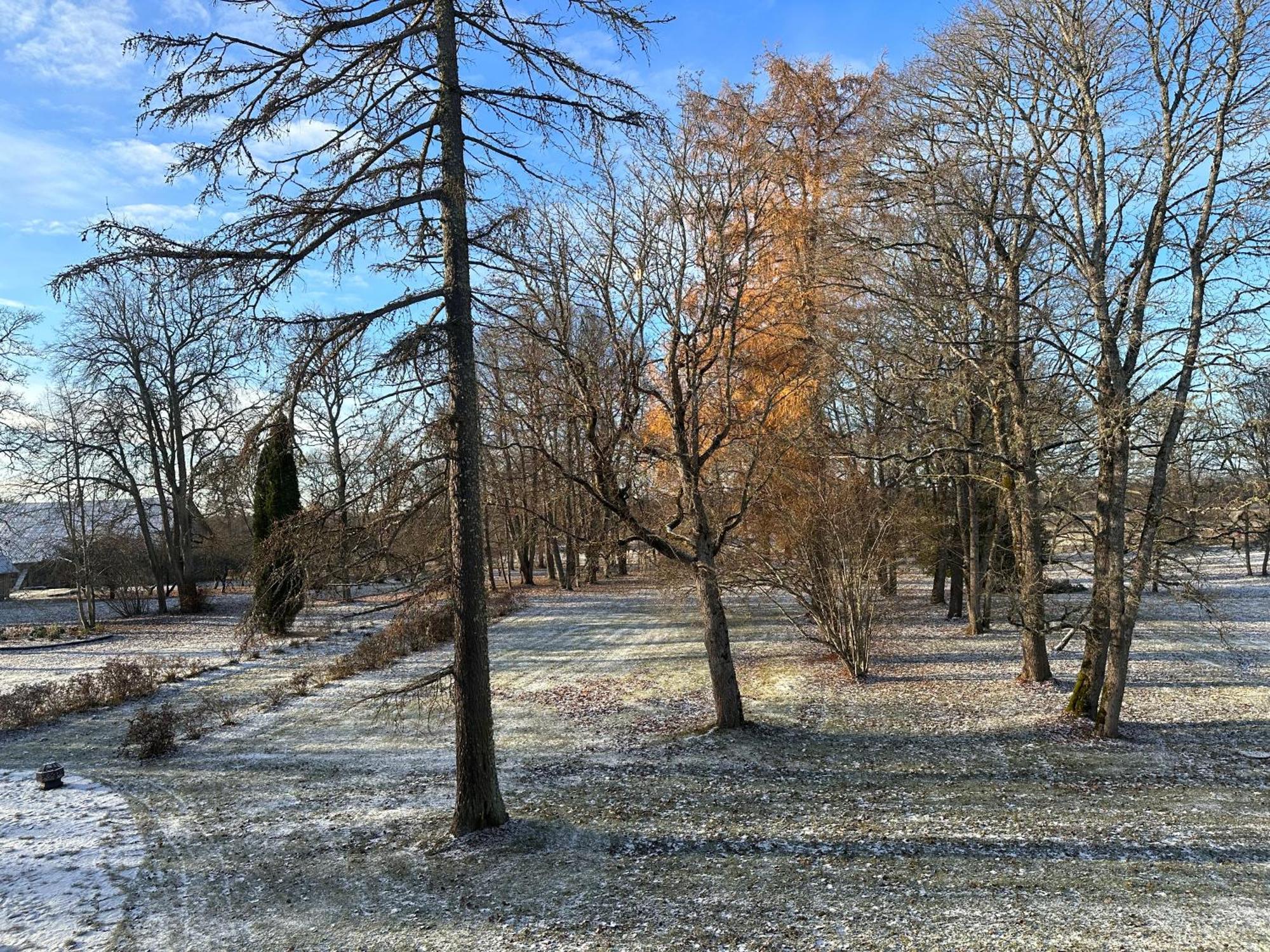 Kernu Manor Hotel & Spa Zewnętrze zdjęcie